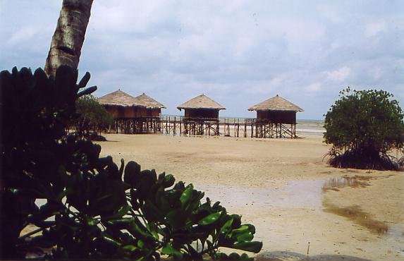 vue des chalets a Loola resort